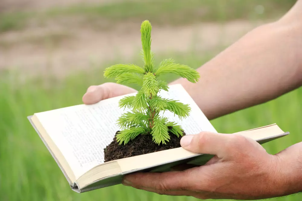 Bionik einfach erklärt: Von der Natur lernen