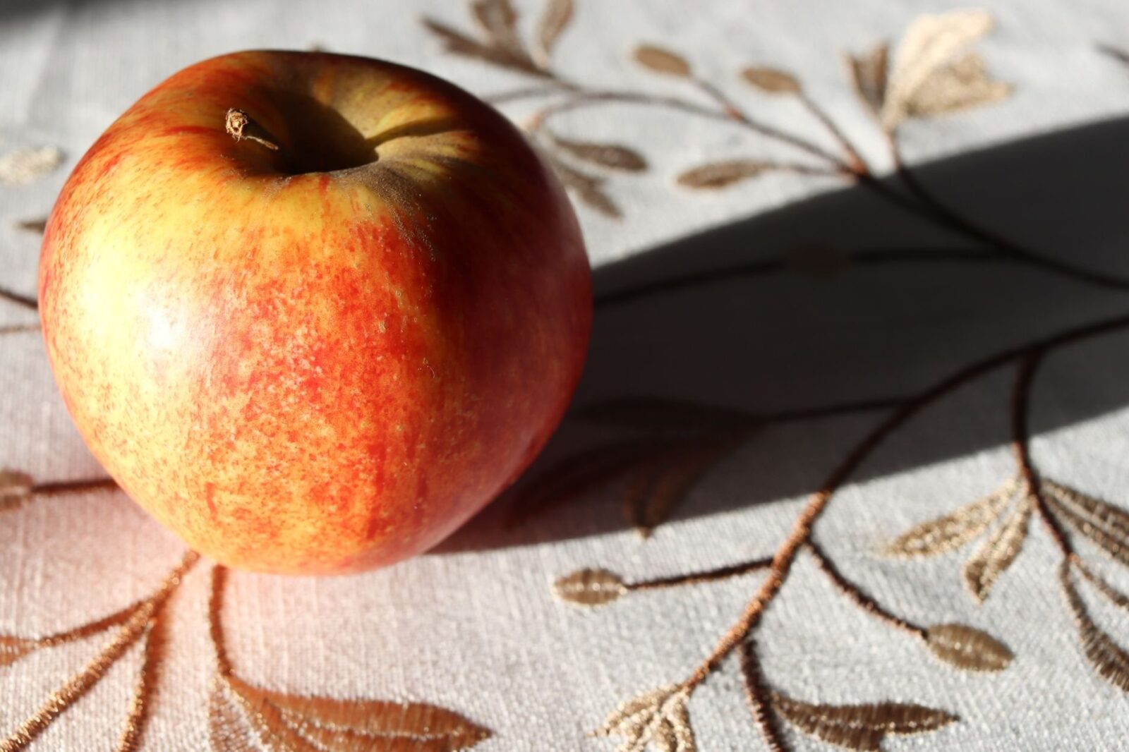 Braeburn Apfel: Der beste Snack fürs Reisen
